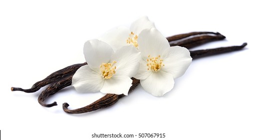 Vanilla sticks with flowers on white backgrounds.
