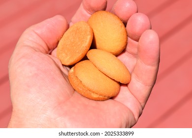 Vanilla Wafer Cookies Held In A Hand