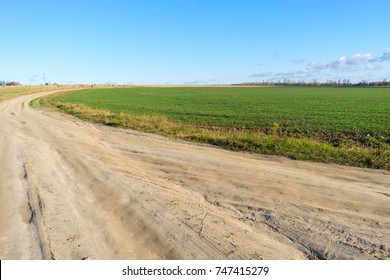 Vanishing dirt road through  vast farm field after harvesting with hay cocks 
