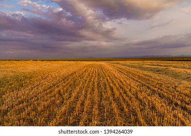 Vanishing Point In Farm Fields