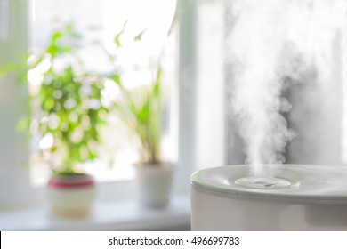 Vapor from humidifier in front of window