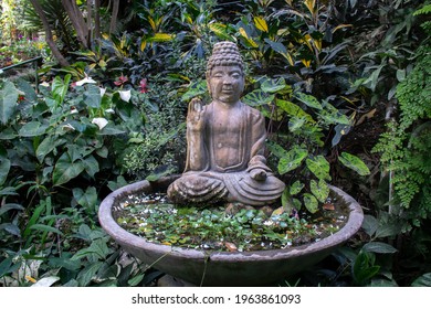 bird bath buddha