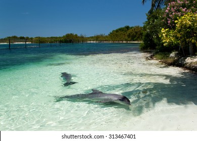 Varadero In Cuba