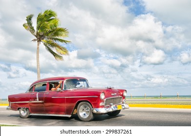 VARADERO, CUBA - JUNE, 2011: Brightly painted classic vintage American car drives along a coastal road next to single palm tree.