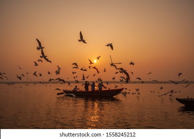 Varanasi, Banaras, Uttar Pradesh, India - January 31, 2011: Boats and Migratory Seagull birds at sunrise on the Ganga, in the holy city of Varanasi, India