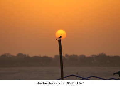 In Varanasi Sunrise With The Holy Ganga River And Beautiful Bird 