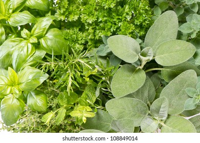 variation of fresh mediterranean herbs. marjoram; parsley; basil; rosemary; thyme, sage. food background