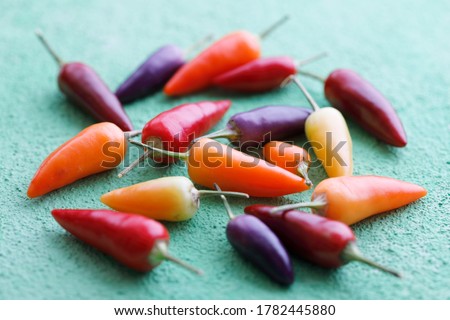 Variation of fresh ripe colorful pepper
