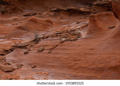 Variations Of Gold Butte National Monument