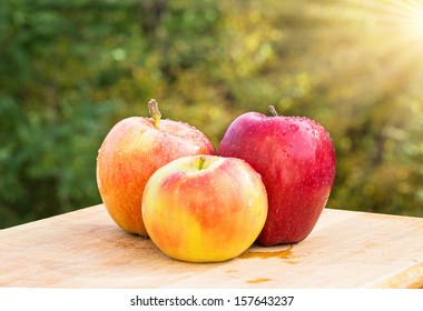 Variety Of Apples