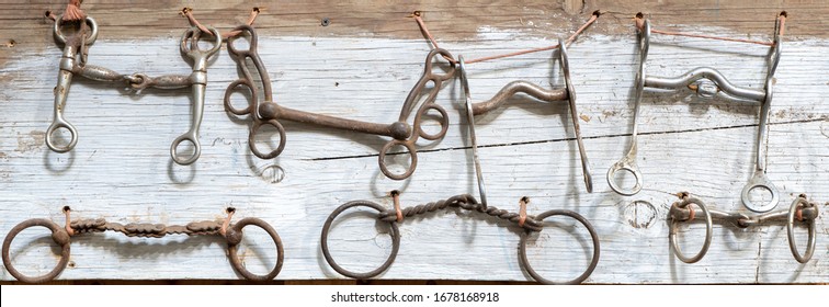 A variety of bits (horse) used in America in the 19th and 20th centuries