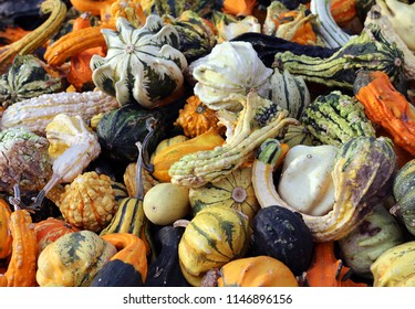 Variety Of Bumpy Gourd At Market Place