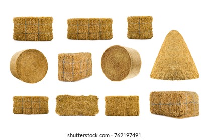 variety by hays isolated on a white background 