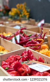 Variety Of Colourful Sweet And Chili Peppers On Sale At Eataly Up-scale Food Market In Turin, Italy.