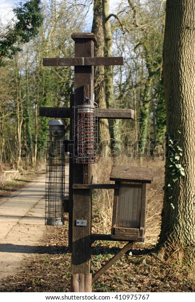 Variety Different Bird Feeders On Wooden Stock Photo Edit Now