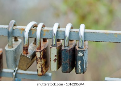 Variety of different old rusty locks hanging on grey fence