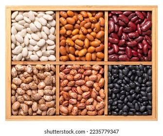 Variety of dried common beans, pulse assortment in a wooden box. White navy, Dutch brown, kidney, pinto, cranberry and black turtle beans. Phaseolus vulgaris seeds, in a wooden container, from above.