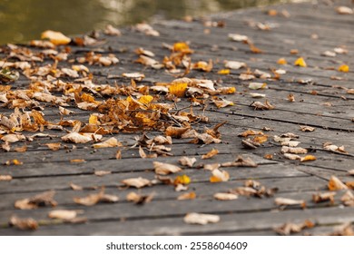 A variety of fallen leaves cover an old wooden dock next to a calm lake, capturing the essence of autumns beauty. - Powered by Shutterstock