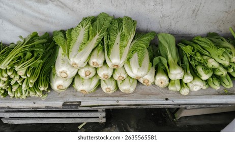 A variety fresh green vegetables, including napa cabbage bok choy, displayed a rustic wooden stall.