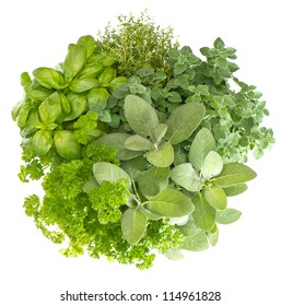 variety fresh herbs isolated on white background. marjoram, parsley, basil, rosemary, thyme, sage