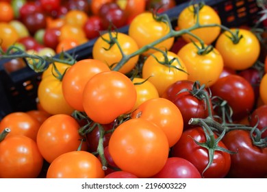 Variety Of Fresh, Organic Tomatoes, Including Cherry Tomato, Close Up View