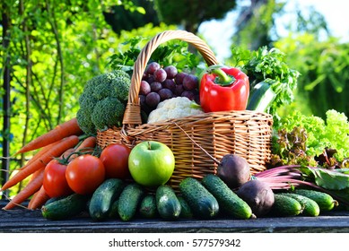 Variety Fresh Organic Vegetables Fruits Garden Stock Photo 577579342 ...