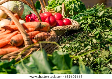 Variety of fresh organic vegetables and fruits in the garden. Balanced diet