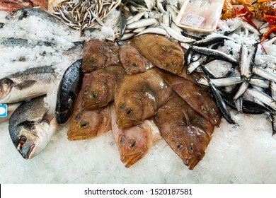 Variety Of Fresh Raw Seafoods On Crushed Ice In Open Display Of Fish Shop