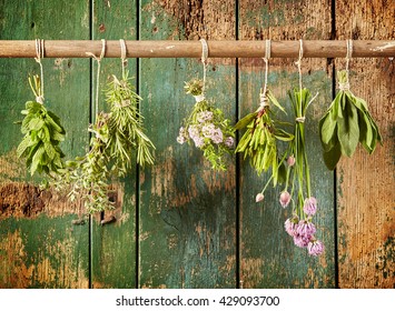 A variety of freshly picked culinary herbs hanging in bunches on a rustic wood background including chives, tarragon, mint, oregano, thyme, rosemary and sage - Powered by Shutterstock