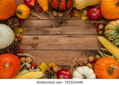 Variety of gourds, squash types and pumpkins. Flat lay composition frame with walnuts, hazelnuts, apples, cones, rosehips, kaki and corn on the cob. Copyspace on wooden background. - Shutterstock ID 1921013444