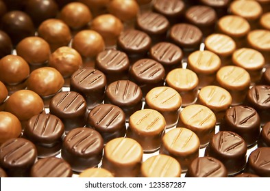 Variety Of Hand Made Swiss Chocolate