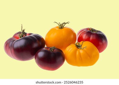 Variety of heirloom tomatoes in yellow and purple colors isolated on yellow background. - Powered by Shutterstock