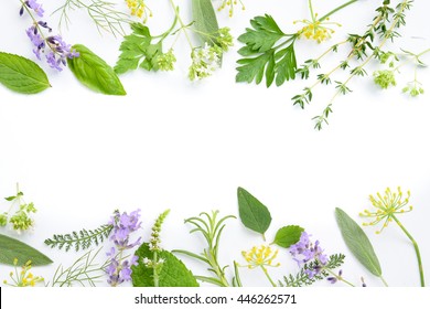 variety of herbs on white background