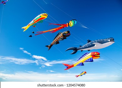 A Variety Of Inflatable Kites Being Flown At A Kite Festival At Lincoln City, Oregon.