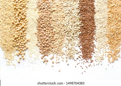 Variety kinds of natural organic cereal or grain seed in stripe shape on white background consisted of rice,soybean,sesame,lentils,wheat,barley,job's tear,flax seed,and pearl barley 