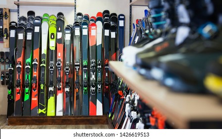Variety of new colorful  alpine skis for sale in modern sports equipment store