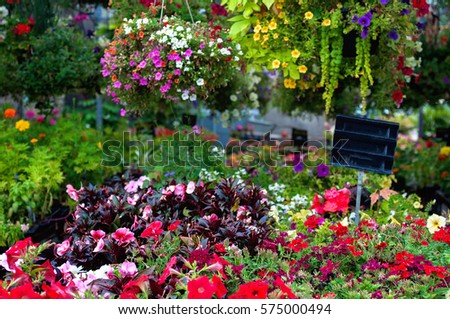 Similar – Image, Stock Photo Greenhouse Market garden
