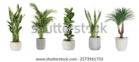 Similar – Image, Stock Photo Potted plants at the Kulturforum Berlin