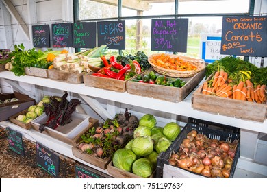 Variety Of Produce In Bins In Farm Roadside Stand: Organic Carrots, Beets, Bell Peppers, Cabbage, Leeks, Celery, Rainbow Chard, Hot Peppers, Onions, And Cauliflower.  Produce Labeled On Black Boards.