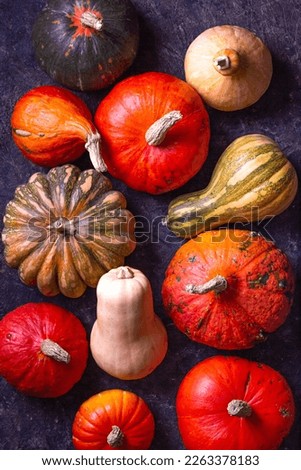 Similar – Image, Stock Photo Various squashes and autumnal leaves on table
