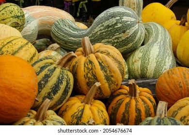 Variety of Pumpkins in Fall, MA, USA - Shutterstock ID 2054676674