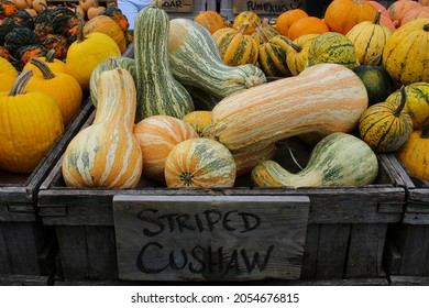 Variety of Pumpkins in Fall, MA, USA - Shutterstock ID 2054676815
