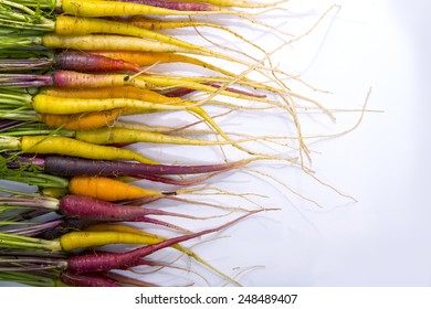 A Variety Of Rainbow Carrots