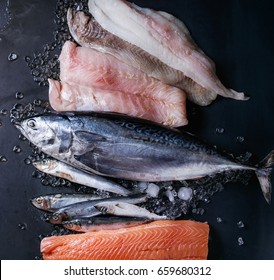 Variety Of Raw Fresh Fish. Whole Tuna And Herring, Fillet Of Salmon, Cod, Red Fish On Crushed Ice Over Dark Wet Metal Background. Top View With Space. Fish Market Concept