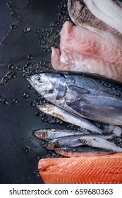 Variety Of Raw Fresh Fish. Whole Tuna And Herring, Fillet Of Salmon, Cod, Red Fish On Crushed Ice Over Dark Wet Metal Background. Top View With Space. Fish Market Concept