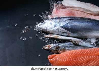 Variety Of Raw Fresh Fish. Whole Tuna And Herring, Fillet Of Salmon, Cod, Red Fish On Crushed Ice Over Dark Wet Metal Background. Close Up With Space. Fish Market Concept