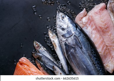 Variety Of Raw Fresh Fish. Whole Tuna And Herring, Fillet Of Salmon, Cod, Red Fish On Crushed Ice Over Dark Wet Metal Background. Top View With Space. Fish Market Concept