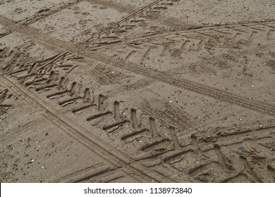 A Variety Of Tractor And Vehicle Tyre Marks In Wet Sand.