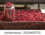 A variety of vibrant cranberries fills a basket, with a glass jar showcasing more.