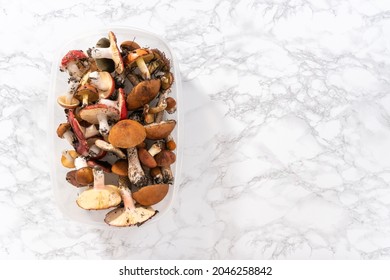 Variety Wild Edible Mushrooms From The Colorado Mountains.